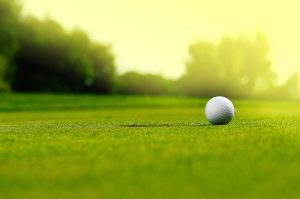 A golf ball on green grass.